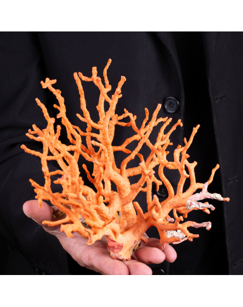 Collana Donna Nadir In Pasta Di Corallo Rosso, Centrale In Argento 925 45cm